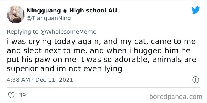 30 Times Pets Creeped Out Their Owners With Their Intelligence