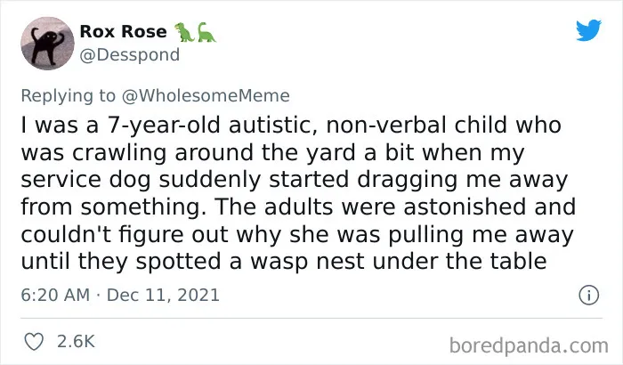 30 Times Pets Creeped Out Their Owners With Their Intelligence