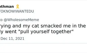 30 Times Pets Creeped Out Their Owners With Their Intelligence