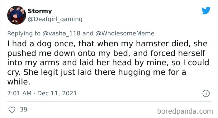30 Times Pets Creeped Out Their Owners With Their Intelligence
