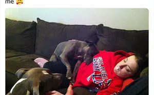 30 Times Pets Creeped Out Their Owners With Their Intelligence