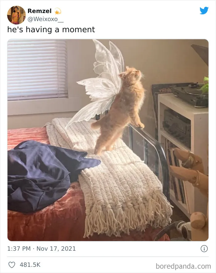 He's Having A Moment