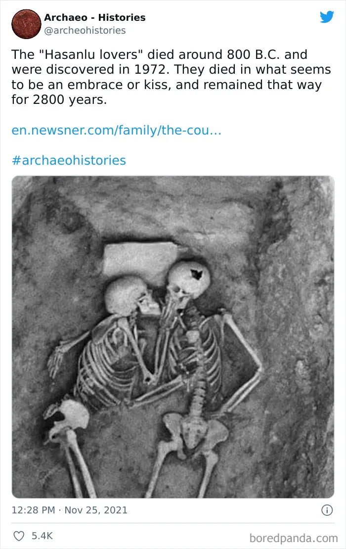 This Twitter Account Shares Interesting Historical Facts The World Should Not Forget (40 Pics)