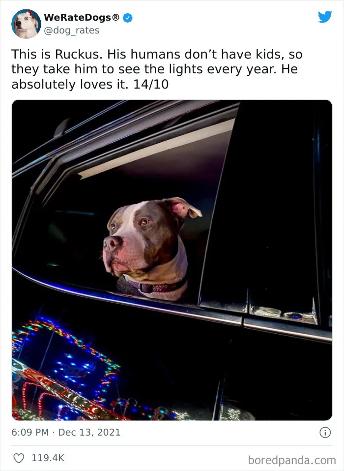 This Twitter Account Rates People's Dogs And It's Hilarious (50 New Pics)