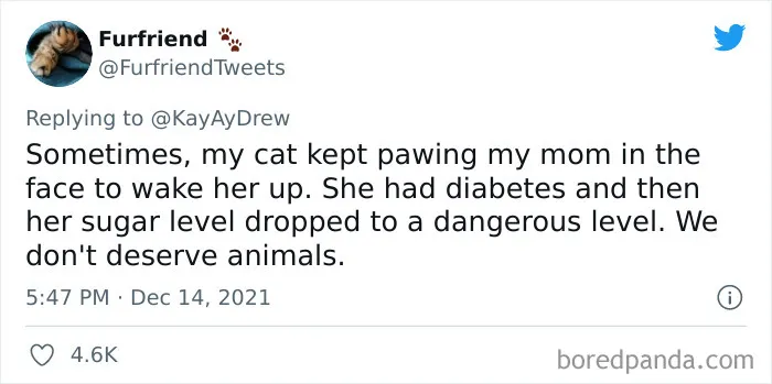 Dog Repeatedly Breaks Into The Nursery In Order To Warn Parents That There’s Something Wrong With The Baby, Saves Her Life (Plus 30 More Pet-Hero Stories)