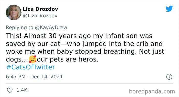 Dog Repeatedly Breaks Into The Nursery In Order To Warn Parents That There’s Something Wrong With The Baby, Saves Her Life (Plus 30 More Pet-Hero Stories)