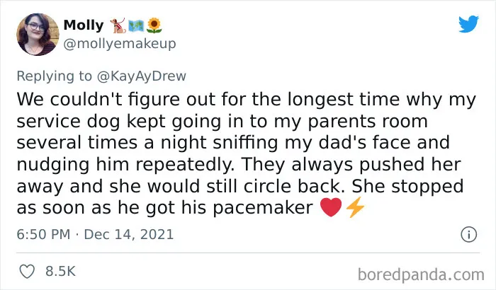 Dog Repeatedly Breaks Into The Nursery In Order To Warn Parents That There’s Something Wrong With The Baby, Saves Her Life (Plus 30 More Pet-Hero Stories)