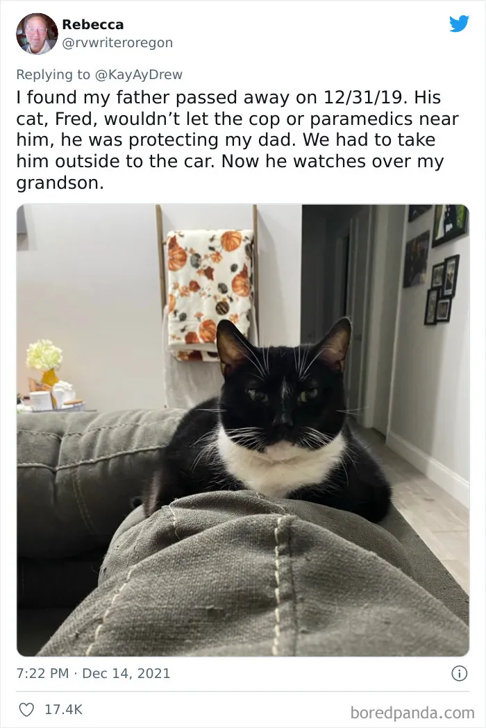 Dog Repeatedly Breaks Into The Nursery In Order To Warn Parents That There’s Something Wrong With The Baby, Saves Her Life (Plus 30 More Pet-Hero Stories)