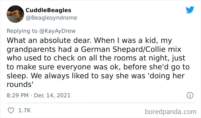 Dog Repeatedly Breaks Into The Nursery In Order To Warn Parents That There’s Something Wrong With The Baby, Saves Her Life (Plus 30 More Pet-Hero Stories)