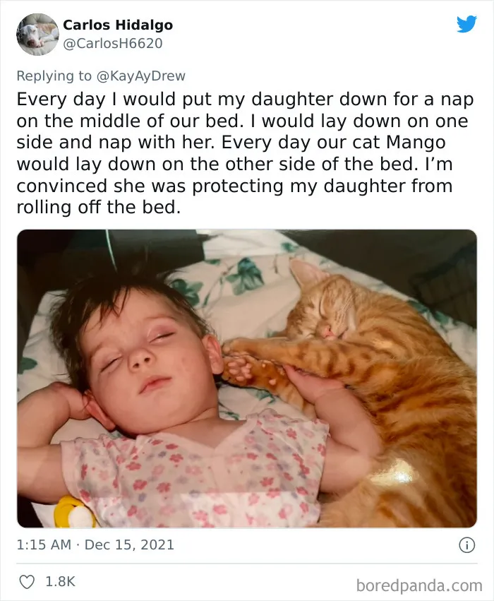 Dog Repeatedly Breaks Into The Nursery In Order To Warn Parents That There’s Something Wrong With The Baby, Saves Her Life (Plus 30 More Pet-Hero Stories)
