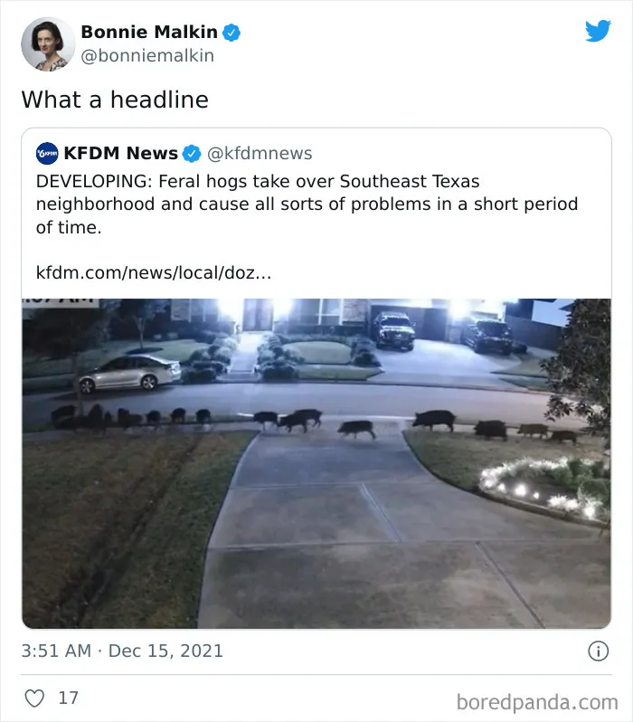 26 Weird Things That Happened In 2021 That Somehow Made The News