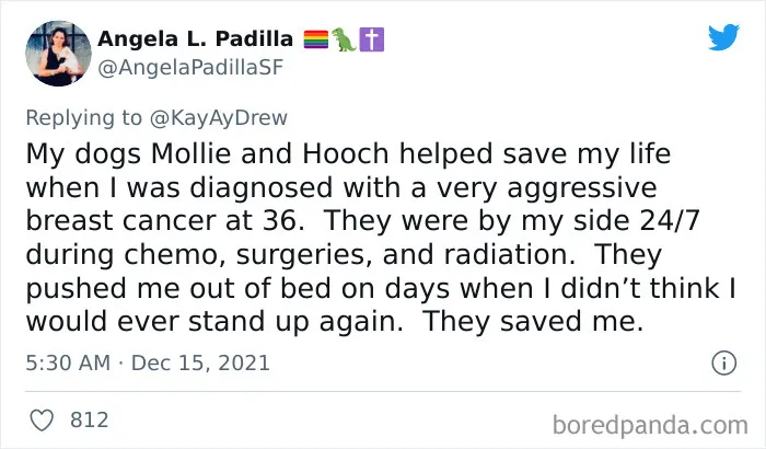 Dog Repeatedly Breaks Into The Nursery In Order To Warn Parents That There’s Something Wrong With The Baby, Saves Her Life (Plus 30 More Pet-Hero Stories)