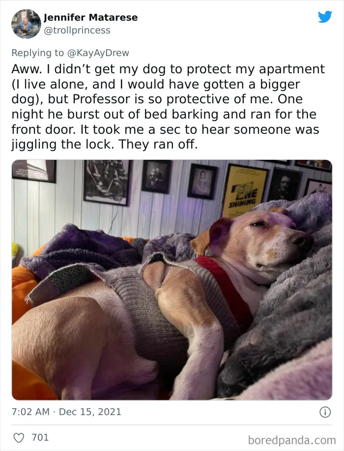 Dog Repeatedly Breaks Into The Nursery In Order To Warn Parents That There’s Something Wrong With The Baby, Saves Her Life (Plus 30 More Pet-Hero Stories)