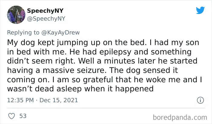 Dog Repeatedly Breaks Into The Nursery In Order To Warn Parents That There’s Something Wrong With The Baby, Saves Her Life (Plus 30 More Pet-Hero Stories)