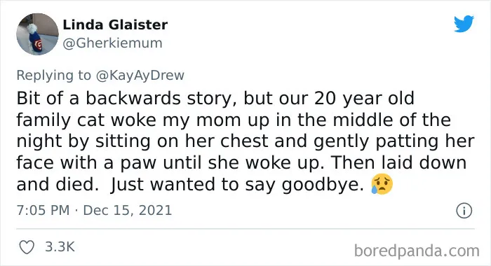 Dog Repeatedly Breaks Into The Nursery In Order To Warn Parents That There’s Something Wrong With The Baby, Saves Her Life (Plus 30 More Pet-Hero Stories)