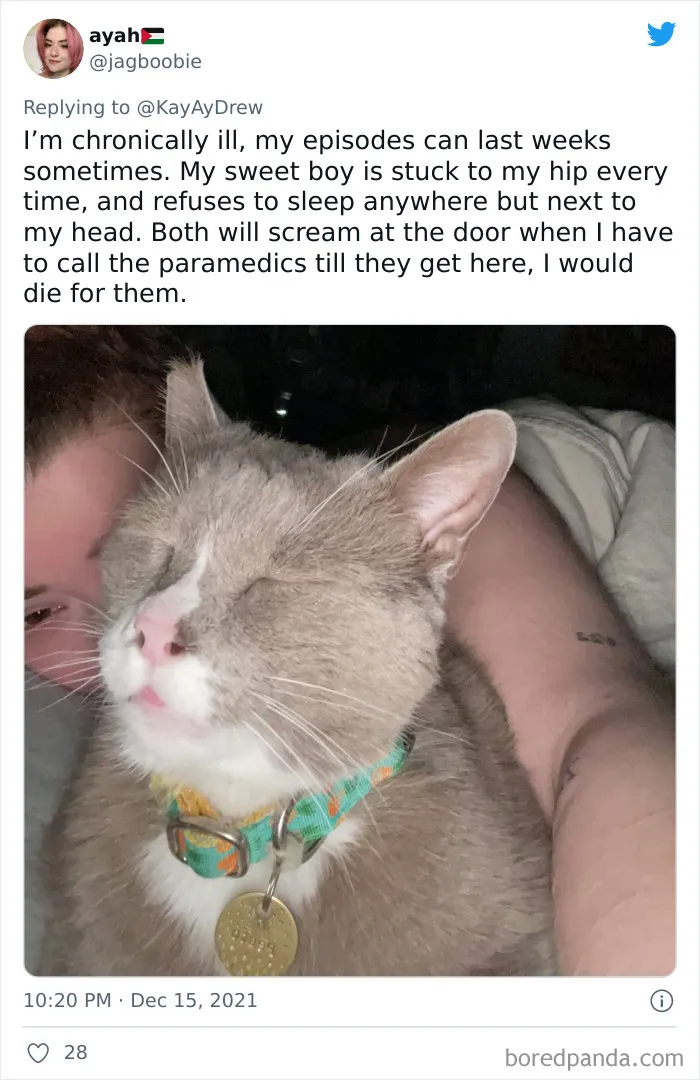 Dog Repeatedly Breaks Into The Nursery In Order To Warn Parents That There’s Something Wrong With The Baby, Saves Her Life (Plus 30 More Pet-Hero Stories)