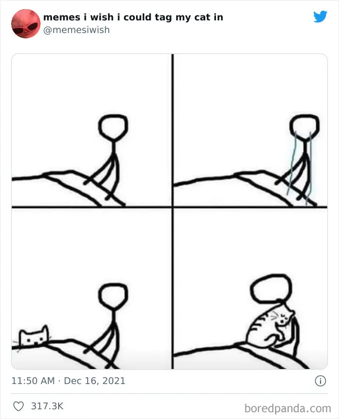 20 de los mejores “memes en los que me gustaría poder etiquetar a mi gato”