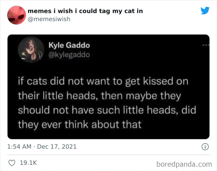 50 Of The Most Spot On "Memes I Wish I Could Tag My Cat In"