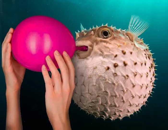 This Artist Makes Unexpected Photo Collages, And Here Are 32 New Ones