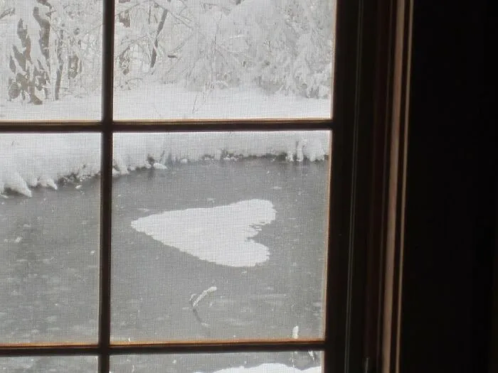 Love Vt