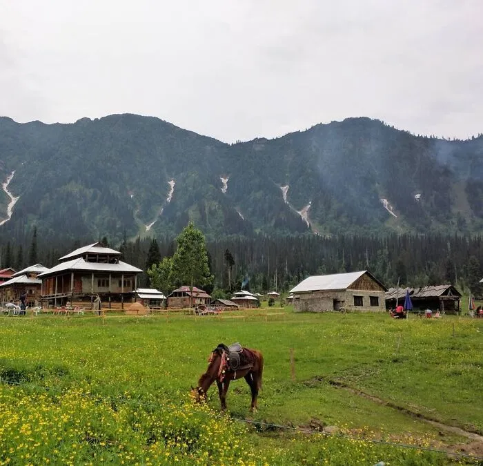 Arang Kel, Serenity (Pakistan)