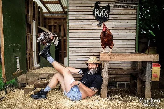 "Chicken Daddies" Calendar Features Men Posing With Chickens And Here Are 25 Of Their Best Shots