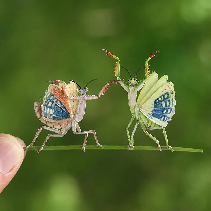 Praying Mantis