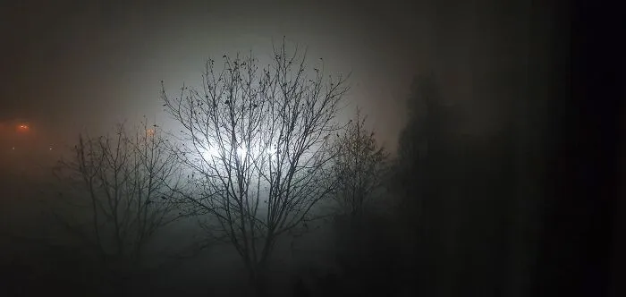 The Mist
