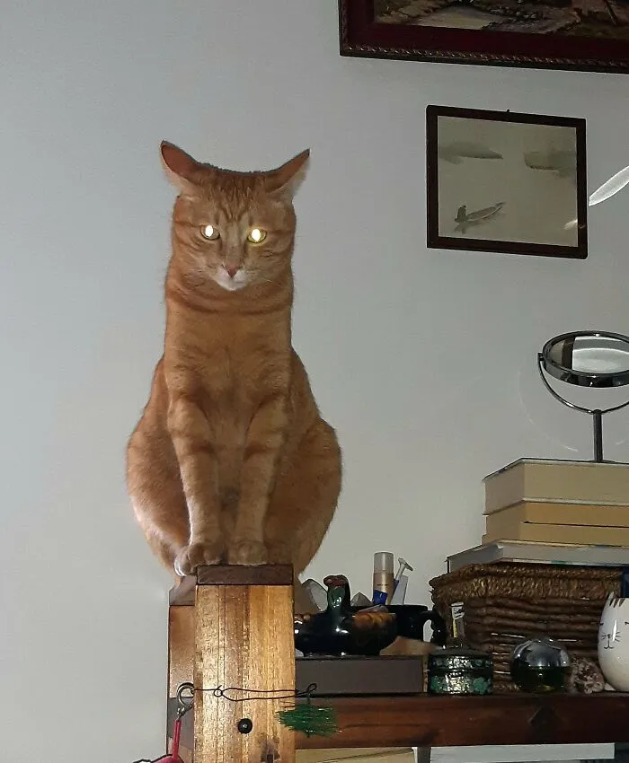 Sometimes He Really Scares Me