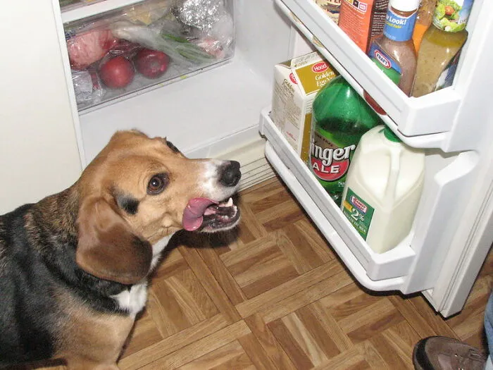 Colossal Refrigerators