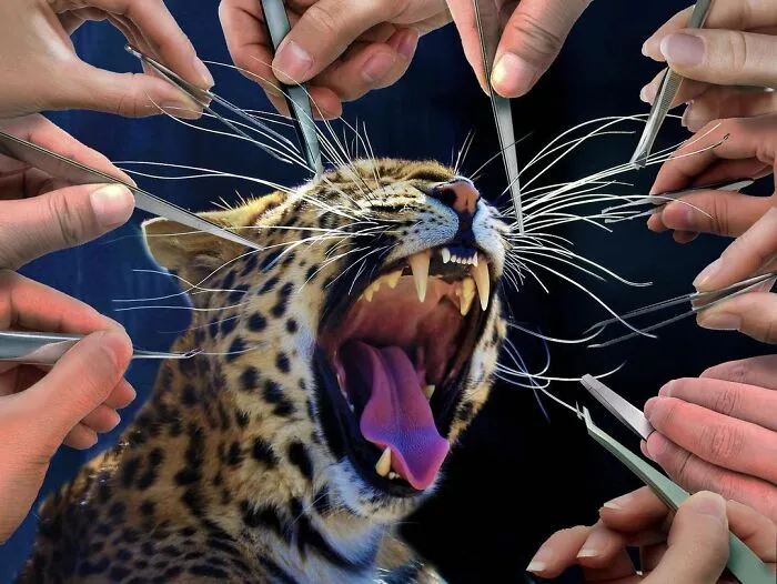 This Artist Makes Unexpected Photo Collages, And Here Are 32 New Ones