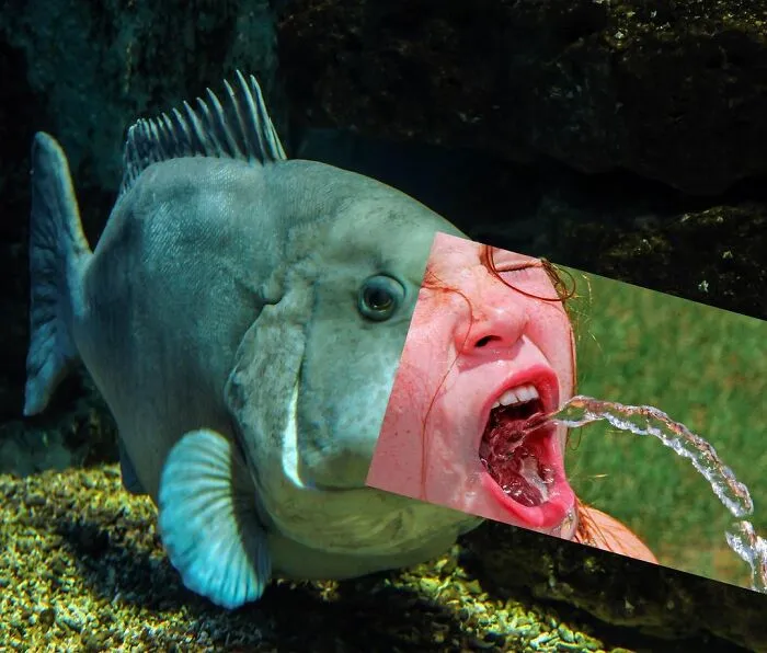 This Artist Makes Unexpected Photo Collages, And Here Are 32 New Ones