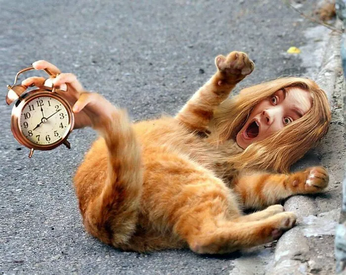 This Artist Makes Unexpected Photo Collages, And Here Are 32 New Ones