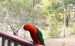 Hey Pandas, Post Bird Pics That You Took (Closed)