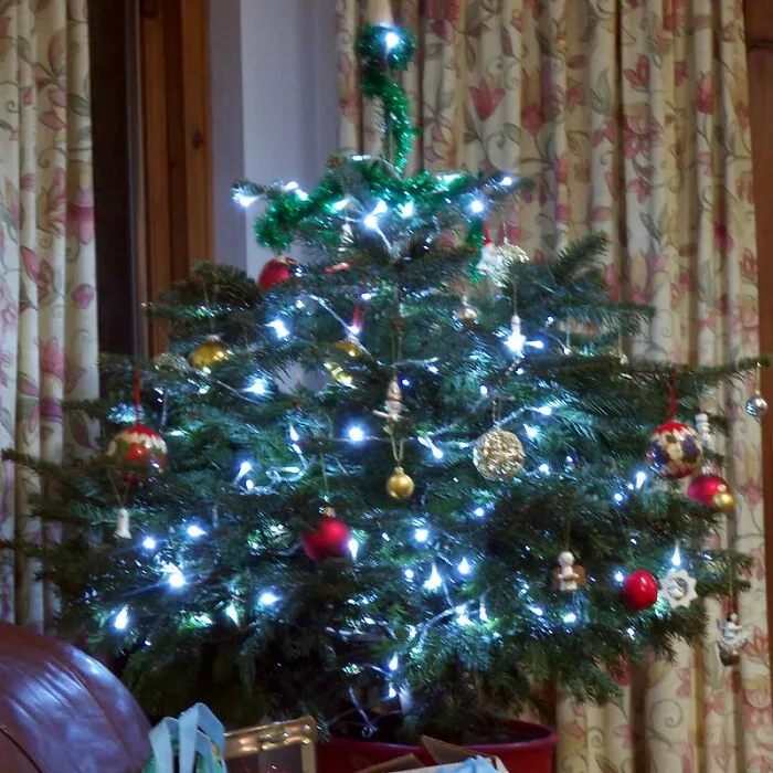 Putting The Lights On And Taking Them Off The Christmas Tree