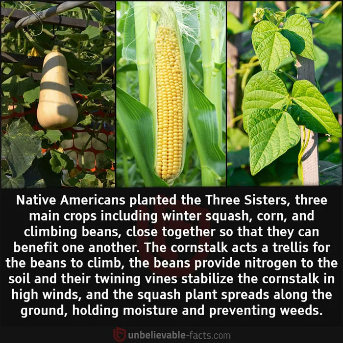 50 Facts That You Might Have A Hard Time Believing, Shared In This Facebook Group
