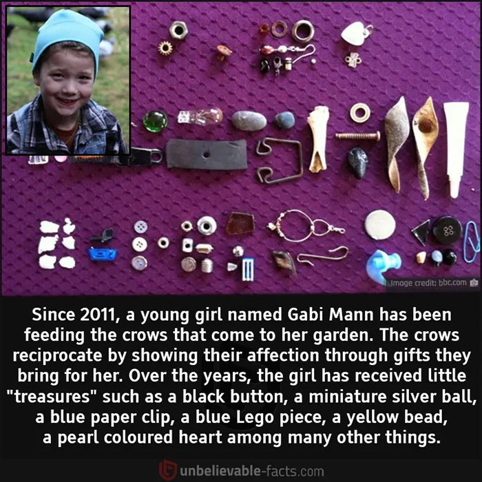 50 Facts That You Might Have A Hard Time Believing, Shared In This Facebook Group