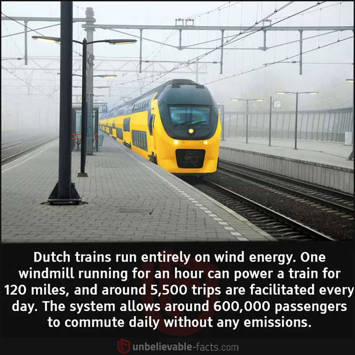 50 Facts That You Might Have A Hard Time Believing, Shared In This Facebook Group
