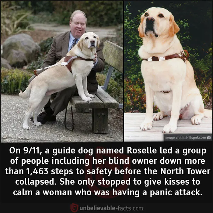 50 Facts That You Might Have A Hard Time Believing, Shared In This Facebook Group