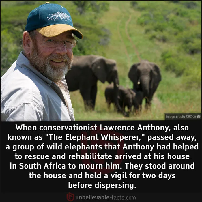 50 Facts That You Might Have A Hard Time Believing, Shared In This Facebook Group