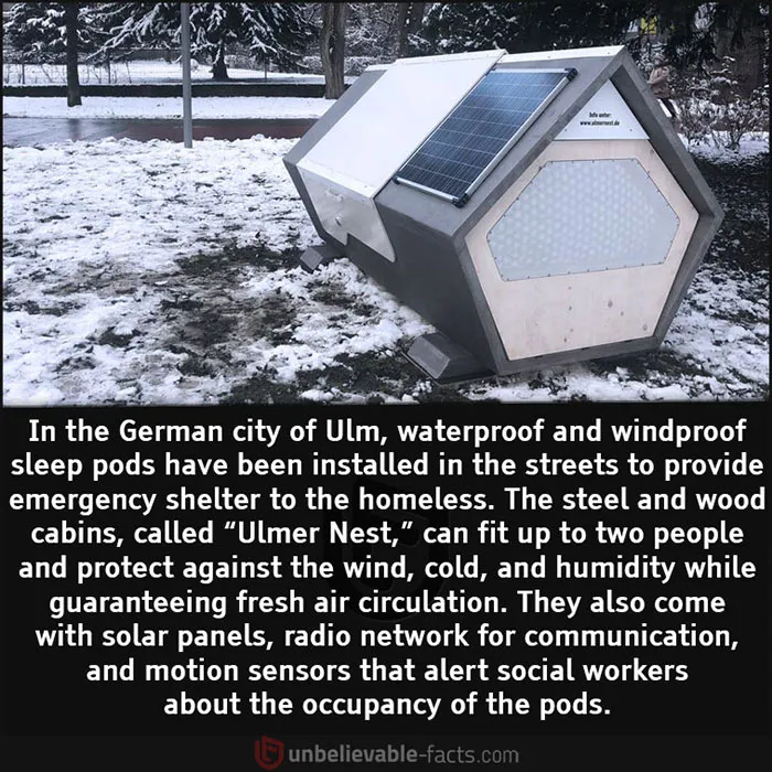 50 Facts That You Might Have A Hard Time Believing, Shared In This Facebook Group