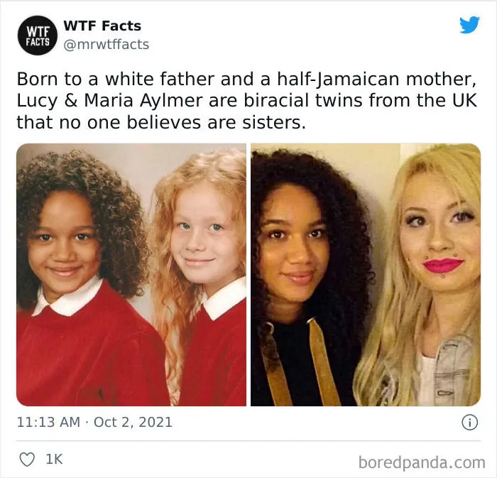 50 Random Facts That Sound Fake But Aren’t, Shared By This Twitter Account (New Pics)
