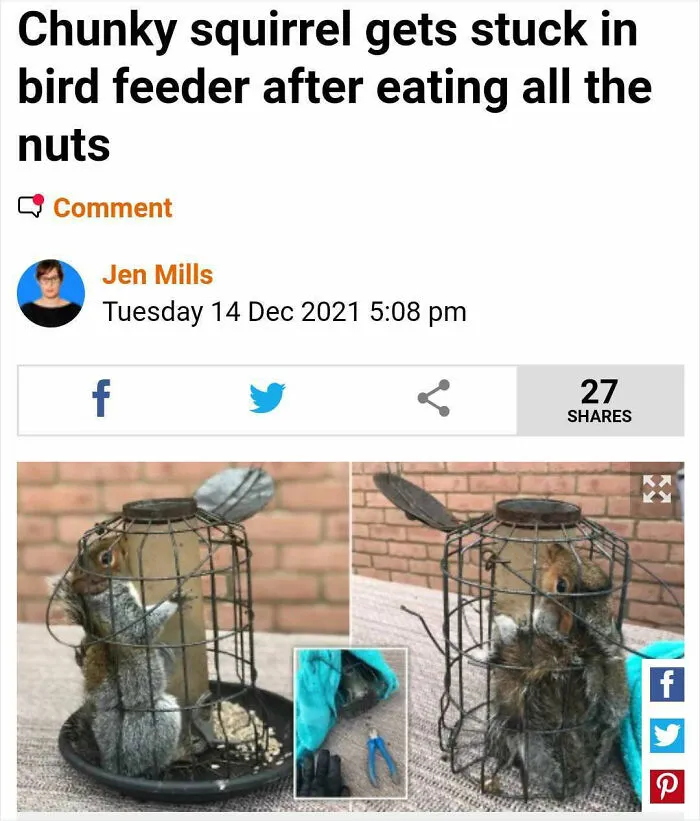 26 Weird Things That Happened In 2021 That Somehow Made The News