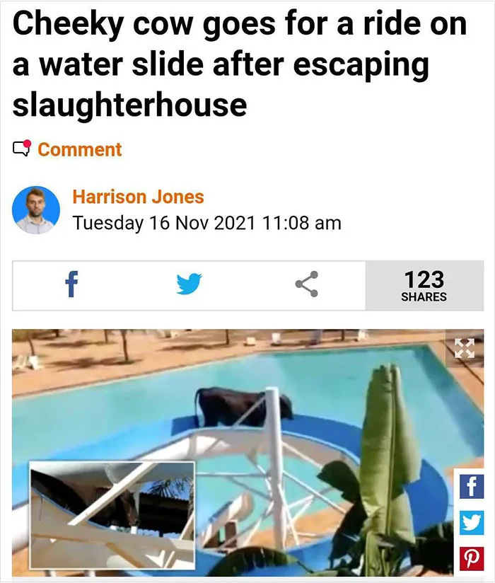 26 Weird Things That Happened In 2021 That Somehow Made The News