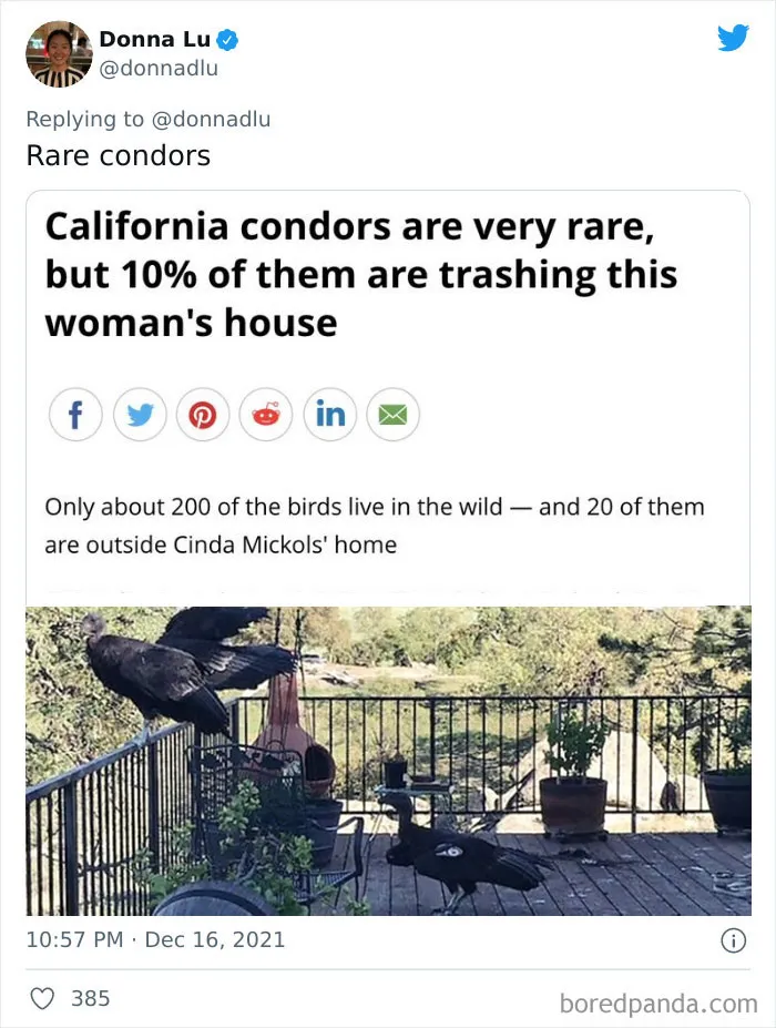 26 Weird Things That Happened In 2021 That Somehow Made The News
