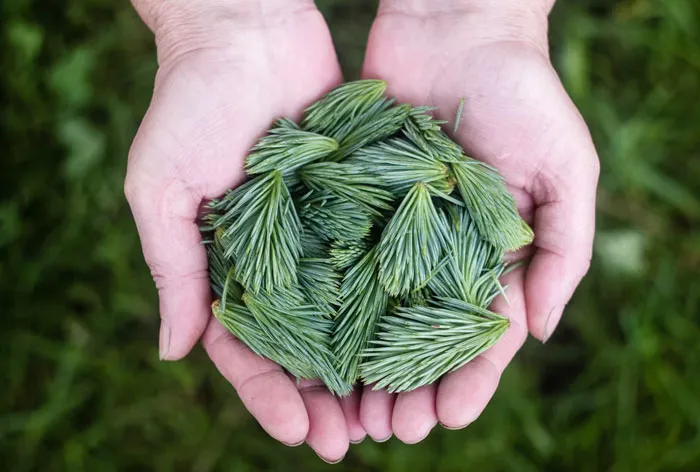 30 People Are Sharing Weird And Wholesome Traditions That Make Their Christmas Special