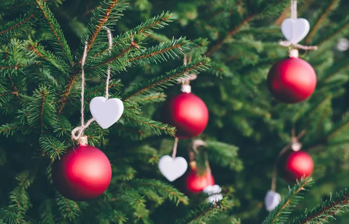 30 People Are Sharing Weird And Wholesome Traditions That Make Their Christmas Special