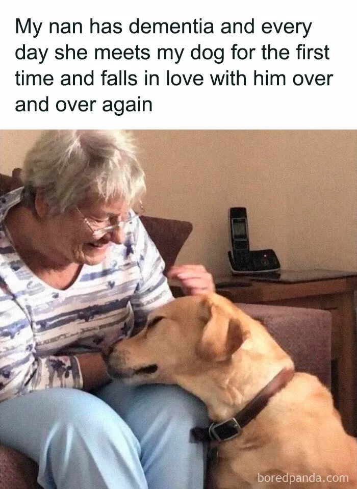 50 Heartwarming Pictures From The 'Wholesome Meets The Internet' Account To Lift Your Spirits Up