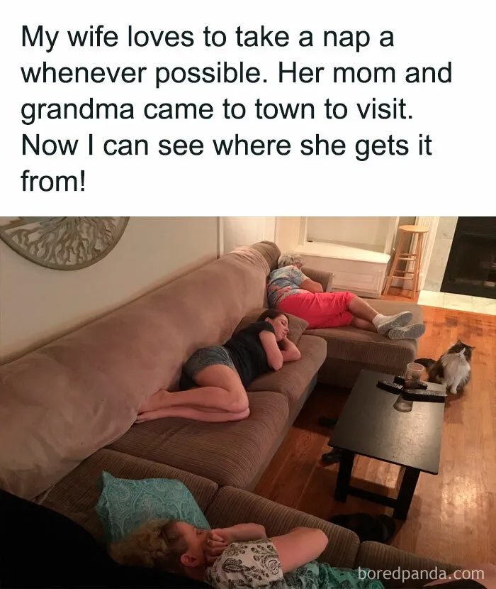 50 Heartwarming Pictures From The 'Wholesome Meets The Internet' Account To Lift Your Spirits Up