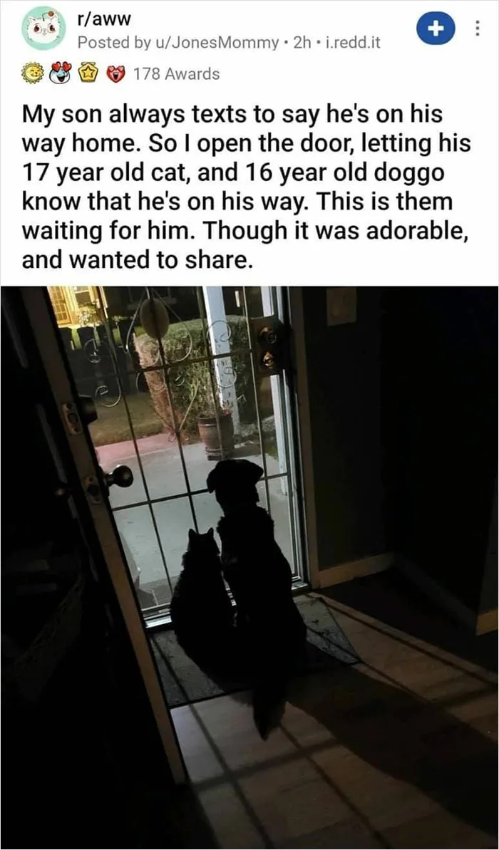 50 Heartwarming Pictures From The 'Wholesome Meets The Internet' Account To Lift Your Spirits Up